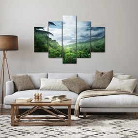 Obraz - Seychelská jungle (150x105 cm)