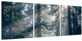 Obraz stromov s presvitajúcim slnkom (s hodinami) (90x30 cm)
