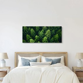 Obraz - Les (120x50 cm)