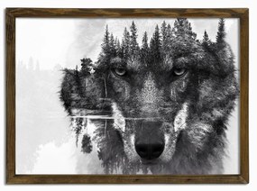Nástenný obraz Wolf 50x70 cm čiernobiely