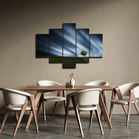 Obraz polárna žiara nad vresoviskom (150x105 cm)