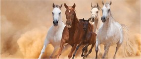 Obraz - Stádo koní (120x50 cm)