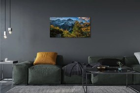 Obraz canvas jazierka salašnícky 125x50 cm
