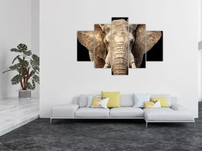 Obraz - Slon africký (150x105 cm)