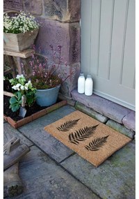 Rohožka z kokosového vlákna 40x60 cm Fern Leaf – Artsy Doormats