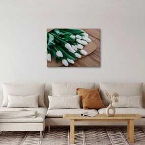 Obraz kytice bielych tulipánov (70x50 cm)