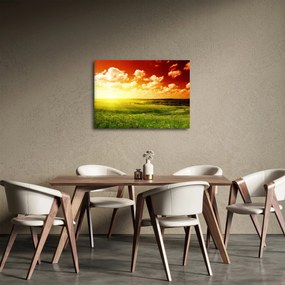 Obraz letnej lúky (70x50 cm)