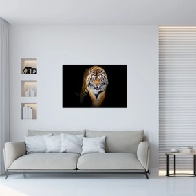 Obraz - Tiger (90x60 cm)