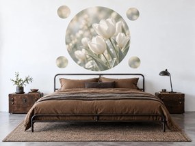 Biele tulipány v kruhu jemné tulipánové nálepky na stenu do obývačky arch 46 x 46 cm