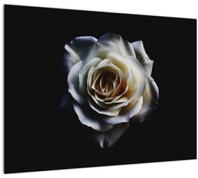 Sklenený obraz bielej ruže (70x50 cm)