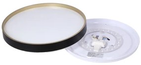 LED Stropné svietidlo FLORIDA LED/18W/230V čierna