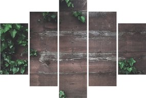 Obraz - Brečtan (150x105 cm)