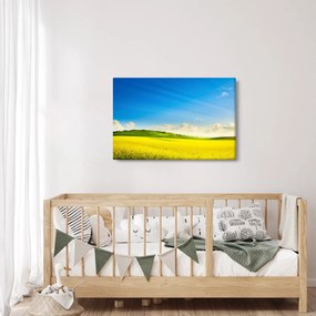 Obraz - Jarné nebo (90x60 cm)
