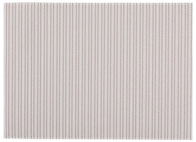 Plastové prestieranie 33x45 cm Fallon – ZicZac