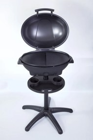 Gril Guzzanti GZ 345