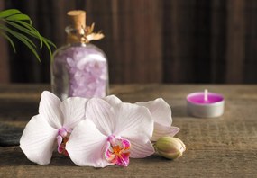 Fototapeta - Orchidey a spa (147x102 cm)