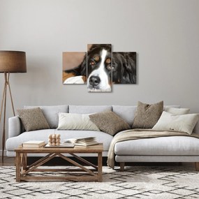Obraz psa (90x60 cm)
