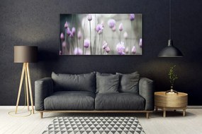 Obraz plexi Poľné kvety lúka príroda 120x60 cm