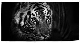 Sablio Uterák Čierno-biely tiger - 30x50 cm