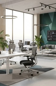 Kancelárska stolička Ergohuman 2 Elite BT ST black