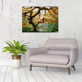 Sklenený obraz žltého japonského javora, Portland, Oregon (70x50 cm)