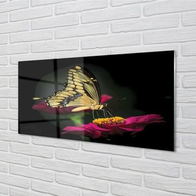 Sklenený obraz Motýľ na kvetine 100x50 cm
