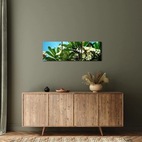 Obraz - Plumeria (s hodinami) (90x30 cm)