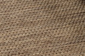 Koberec SIZAL FLOORLUX 20014 coffee / mais