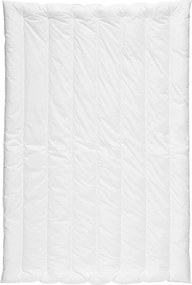 XXXLutz CELOROČNÁ PRIKRÝVKA, 135/200 cm, polyester Centa-Star - Prikrývky & vankúše - 003503022201