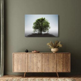 Obraz - Osamotený strom (90x60 cm)