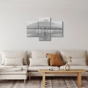 Obraz - Zamilované labute (90x60 cm)