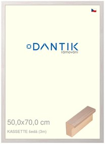 DANTIK rám na obraz 50x70 | KASSETTE šedá (Plexi Čiré)