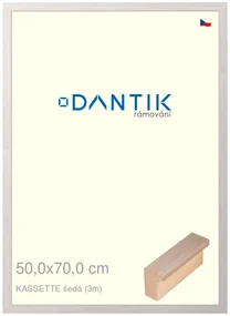 DANTIK rám na obraz 50x70 | KASSETTE šedá (Plexi Čiré)