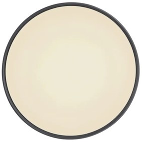 Globo 41587-24 - LED Stmievateľné stropné svietidlo SONNY LED/24W/230V + DO