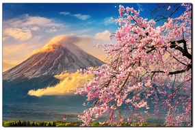 Obraz na plátne - Hora Fuji a čerešňové kvety na jar 1266A (75x50 cm)