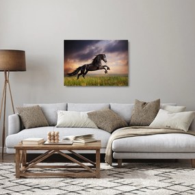 Sklenený obraz - Kone (70x50 cm)