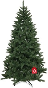 Smrek Kanadský 210 cm