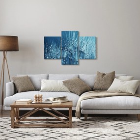 Obraz - Kvapky rosy (90x60 cm)