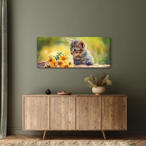 Obraz mačiatka pozerajúce sa na kvetinu (120x50 cm)