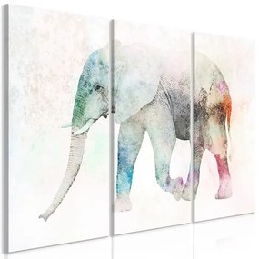 Obraz - Painted Elephant (3 Parts) Veľkosť: 120x80, Verzia: Na talianskom plátne