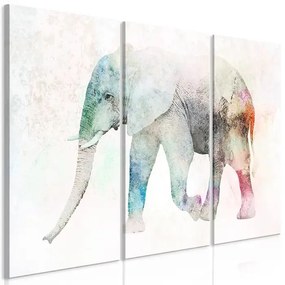 Obraz - Painted Elephant (3 Parts) Veľkosť: 90x60, Verzia: Na talianskom plátne