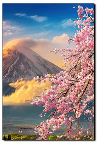 Obraz na plátne - Hora Fuji a čerešňové kvety na jar - obdĺžnik 7266A (100x70 cm)