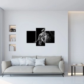 Obraz - Lev, čiernobiela (90x60 cm)