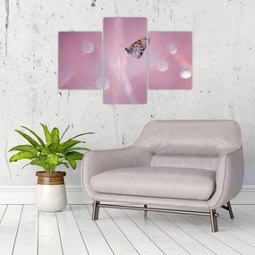 Obraz - Motýľ (90x60 cm)