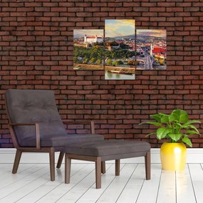 Obraz - Panorama Bratislavy, Slovensko (90x60 cm)