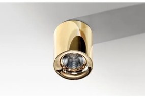 Azzardo AZ2846 - LED Stropné svietidlo MANE 1xLED/10W/230V