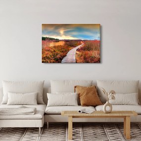 Obraz - Jesenná cesta krajinou (90x60 cm)