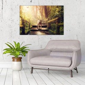 Obraz tigra (90x60 cm)