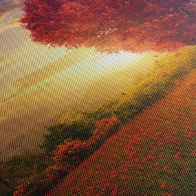 Obraz stromu v tvare srdca (120x50 cm)
