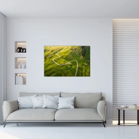 Obraz - Náhorná lúka (90x60 cm)